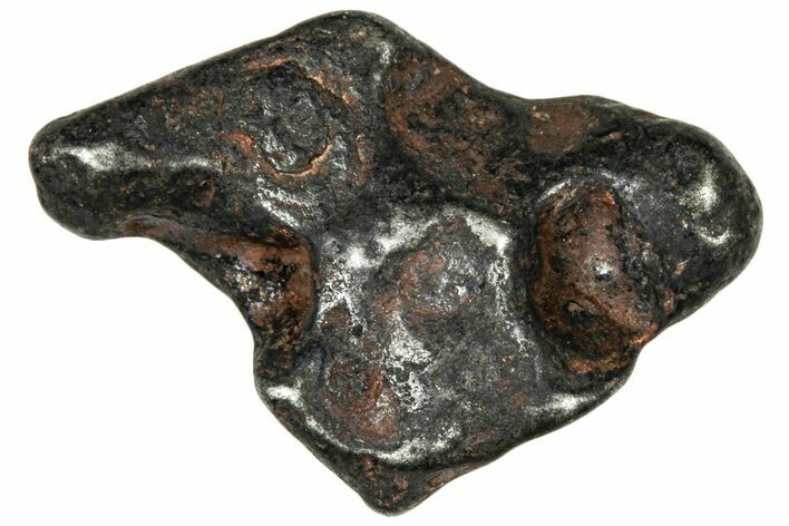 Agoudal Iron Meteorite ( g) - Morocco #303926